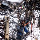 월드포장 이미지