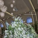 솔플라워 | [Wedding] 용인 솔스퀘어 웨딩홀 투어 후기 1편 (27년 하반기)