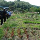 가화만사성농장 이미지