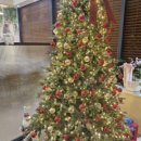 안성맞춤랜드20 이미지