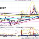 씨에스트레이딩