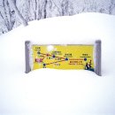 남한 최고봉 제주도 한라산 눈꽃&상고대 산행 & 제주올레길 구간 트레킹 이미지