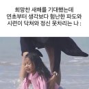 일복빌딩 | [1월 3-4주]터져버린 일복에 인성도 같이 터지기 1보전(넘나 짜릿했던 월요 눈썰매+요가타임...