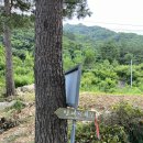 설악산 마장터 계곡 백패킹, 트래킹 후기(가기 전 꿀팁, 가는 길, 방동막국수)