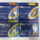 운정해오름약국 이미지