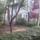 건영아파트후문 이미지