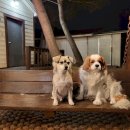 별빛하늘 펜션 이미지