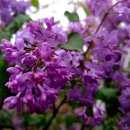 제일부동산중개 이미지