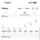 나인쉽스 빈티지