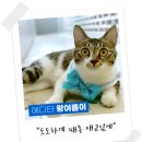 자작도캠핑장 이미지