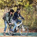 상상고양이 이미지