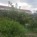 한가족공인중개사사무소 이미지