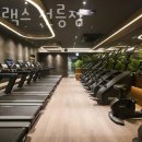 하이랙스 선릉점 이미지