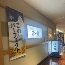 잇센스시 | 삿포로, 카츠잇센 스시 솔직후기 신선해서 맛있다