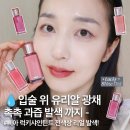럭키광택 | 촉촉한 광택 틴트 추천 !삐아 럭키샤인 전색상 발색 솔직 후기