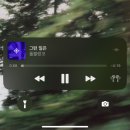 온달 그루밍 | 9-(1) 매일을 축제하듯
