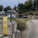 앵무타운 이미지