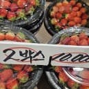 유기농청과