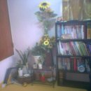 8호화장실 이미지