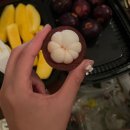 한주식당 | 베트남/나트랑] 나트랑 배달 음식 포장음식 후기 (템느아 한국식당/한주분식/미미푸르츠/장충동왕족발보쌈)