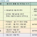 과수기초이론 - 꽃눈형성과 결실관리(봉지씌우기) 이미지