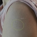 불주사 - 1216 | 불주사