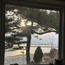 비체하우스펜션 이미지