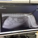 만박동물병원 이미지