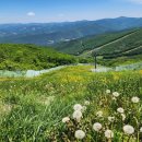 하이얀사 이미지