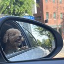 어침이공원 이미지