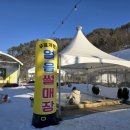 평창한우마을 면온점 이미지