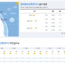 2022년 11월 2일(수요일) 13:00 현재 대한민국 날씨정보 및 기상특보 발표현황 (울릉도, 독도 포함 - 기상청발표) 이미지