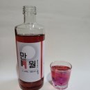 만월법인 이미지