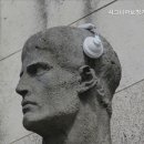 시그니아보청기 분당센터 이미지