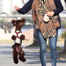 두리동물병원 이미지