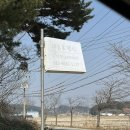 데트르펜션 | 안면도 감성 숙소 ‘데트르펜션 ’ 넓고 자연적인 힐링 공간