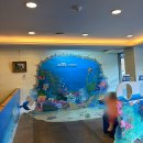 서홍동-12 | 중문 근처 가볼만한곳 서귀포 잠수함 새연교 코스 정리