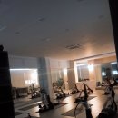 테라피 요가 이미지