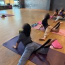 연동하타요가 | 제주 연동 요가 테랍툴 수업 후기 쁘램요가 제주점