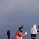 인터메리 이미지