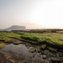 신영목장2 이미지