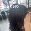새봄헤어(새롬점) 이미지