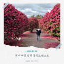 남원읍-53 이미지