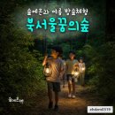숲에온