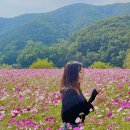 다이소평택역점 주변 | 경기도 남부여행_안성 용인 평택 여행 코스추천 (맛집/카페/풍경맛집 등)