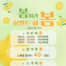 헤어에쉬 이미지