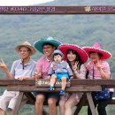 하이원트래블 이미지