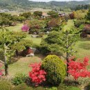 전남 갈멜민간정원 (붉은꽃미산딸) 이미지