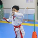 호원태권도체육관 이미지