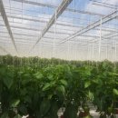 한동농장 이미지